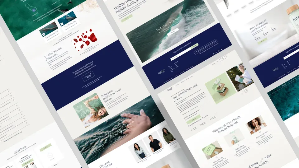 Portfolio website design displayed on computer screen